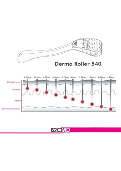 Hairon Plus Hairroller Platinium Titanyum 1200 Iğneli Vücut Için Derma Roller fiyatları