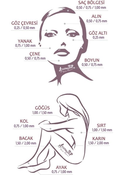 Hairon Plus Hairroller Platinium Titanyum 1200 Iğneli Vücut Için Derma Roller modelleri