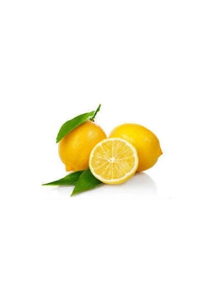 Limon Bonesi / 100 Adet / Bitki Çayı Bonesi