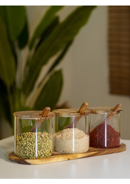 BadeHome Decoration 3'lü Akasya Cam Baharat Seti (Kaşık&stand Dahil)