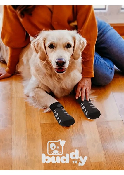 Anti - Skid Kayma Önleyici Köpek Çorabı - M Beden 4 Adet