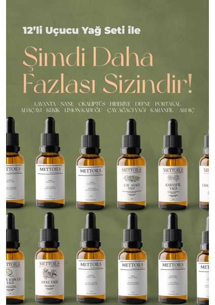 12’li Premium Uçucu Yağ Koleksiyonu modelleri
