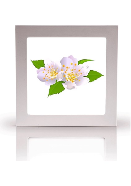 Koridor AVIZE-60 x 60-54W-LED-ARMATÜR-KORIDOR-AYDINLATMA-DESENLI-PANEL-KORIDOR-LED-LAMBA-IŞIK Tavan modelleri