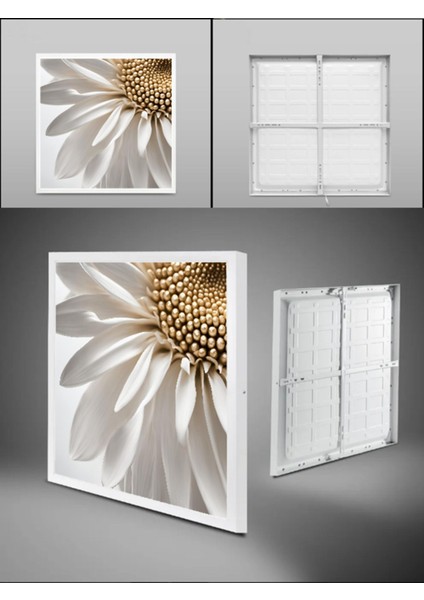 Paptya LED Avize, Salon Avize Modelleri 60 x 60, Modern Doğal Beyaz Işık, 6400K, 60WATT Salon Avize,