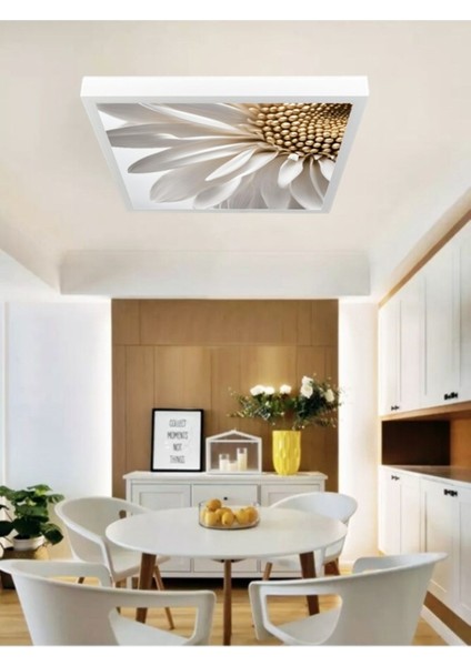 Paptya LED Avize, Salon Avize Modelleri 60 x 60, Modern Doğal Beyaz Işık, 6400K, 60WATT Salon Avize, modelleri