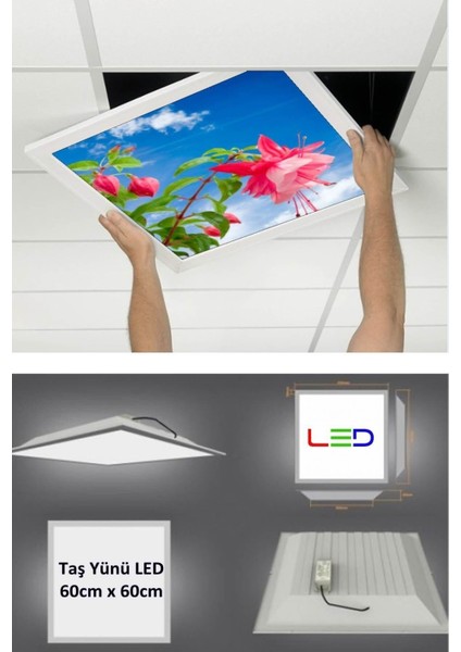 Asma TAVAN-60 cm x 60 cm -SIVA ALTI-54W-6500K-BEYAZ-LED Panel-Led Armatür-Taş Yünü Asma Tavan-Hastane LED modelleri