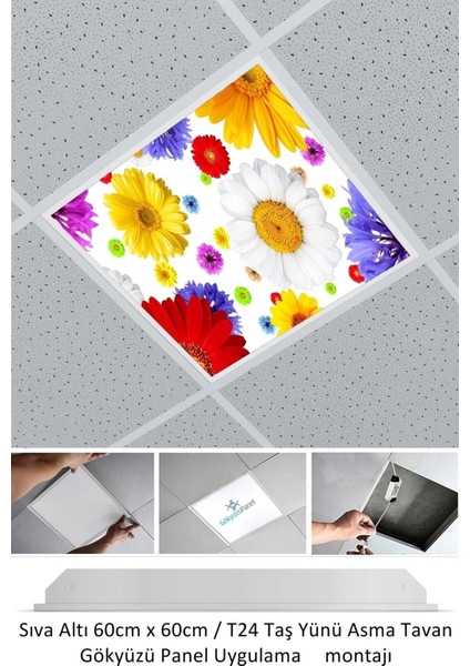 Asma Tavan LED-60 cm x 60 cm -SIVA ALTI-54W-6500K-LED Panel-Led Armatür- 60 x 60 Taş Yünü Asma Tavan Ledi