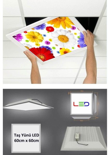 Asma Tavan LED-60 cm x 60 cm -SIVA ALTI-54W-6500K-LED Panel-Led Armatür- 60 x 60 Taş Yünü Asma Tavan Ledi fiyatları