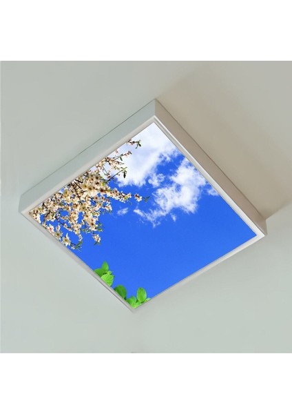 Modern Salon Avize 60WATT- Kare 60 cm x 60 cm -Yeni Tasarım Aydınlatma- Tavana Yapışık Model fiyatları