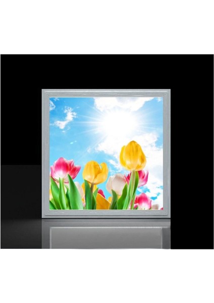 Banyo Avize- 60WATT-60 cm x 60 cm LED Yatak Odası Avize-Renkli Laleler Tasarım Aydınlatma-Tavana Model modelleri