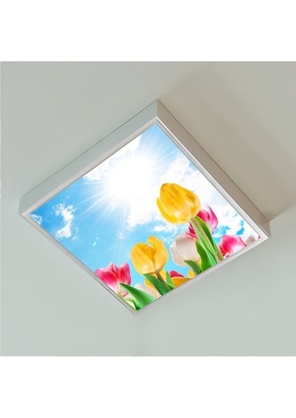Banyo Avize- 60WATT-60 cm x 60 cm LED Yatak Odası Avize-Renkli Laleler Tasarım Aydınlatma-Tavana Model fiyatları