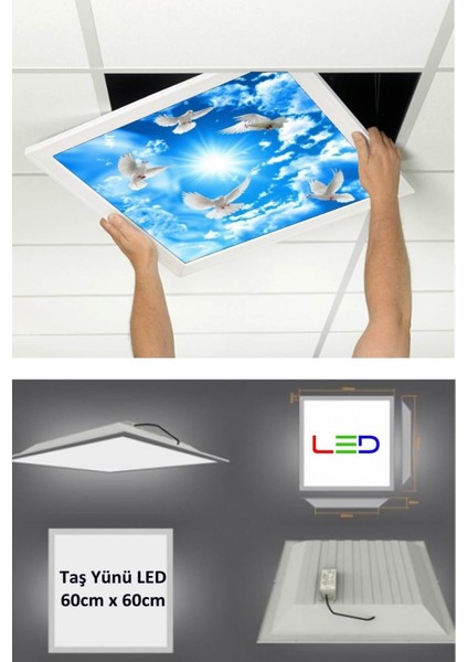 Asma Tavan LED-60 cm x 60 cm -SIVA ALTI-54W-6500K-LED Panel-Led Armatür- 60 x 60 Taş Yünü Asma Tavan Ledi