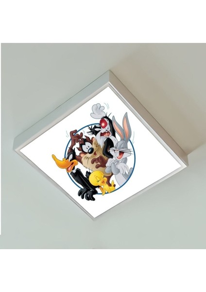 Disney Çocuk Odası LED AVIZE-60 x 60 Baskılı LED Avize- Beyaz Çerçeve-Led IŞIK-60W Homojen Dağılım