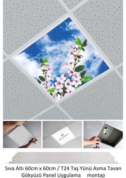 Asma Tavan LED-60 cm x 60 cm -SIVA ALTI-54W-6500K-LED Panel-Led Armatür- 60 x 60 Taş Yünü Asma Tavan Ledli