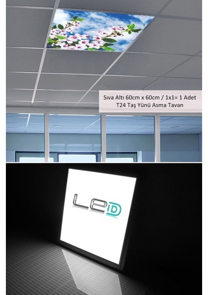 Asma Tavan LED-60 cm x 60 cm -SIVA ALTI-54W-6500K-LED Panel-Led Armatür- 60 x 60 Taş Yünü Asma Tavan Ledli modelleri