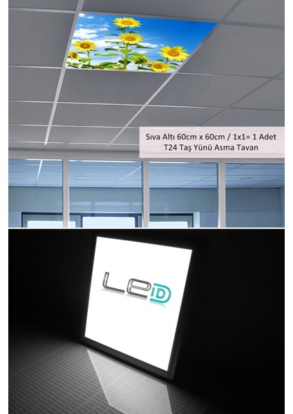 Asma Tavan LED-60 cm x 60 cm -SIVA ALTI-54W-6500K-LED Panel-Led ARMATÜR-60 x 60 Taş Yünü Asma Tavan Ledi-A+