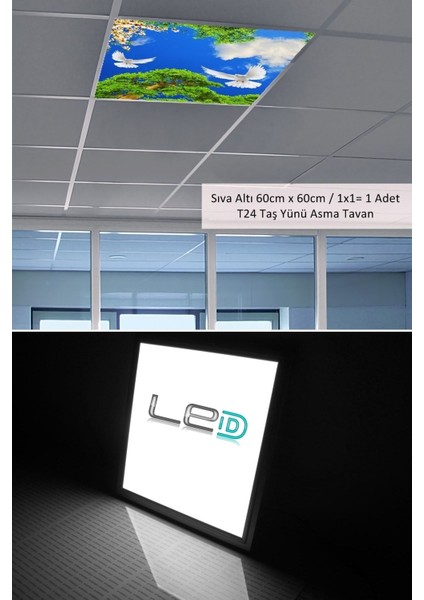 Asma TAVAN-60 cm x 60 cm -SIVA ALTI-54W-6500K-BEYAZ-LED Panel-Led Armatür- 60 x 60 Taş Yünü Asma Tavan -Led fiyatları