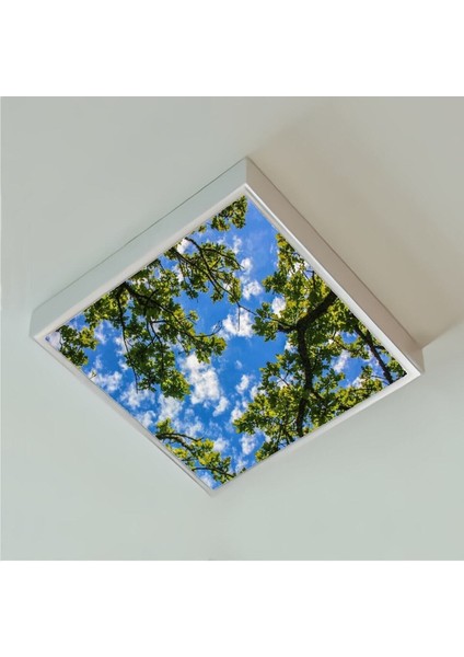 Salon Avize- 60WATT - 60 x 60 -Led Aydınlatma-Tavana Yapışık-Kolay Montaj Avize- Beyaz Çerçeve fiyatları