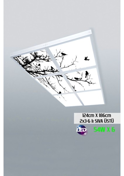 124 cm x 186 cm -ALTILI- Led-Sıva ÜSTÜ-324 Watt-Iş Yeri LED Aydınlatma-Avize Modelleri
