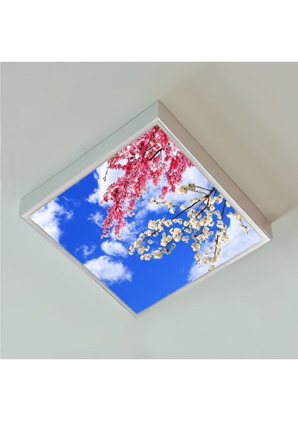 60 x 60 Ledli, Baskılı-Hepsiburada Avize Modeli-Led AVIZE-54WATT-TAVANA Yapışık Lamba-Yatak Odası Avize fiyatları