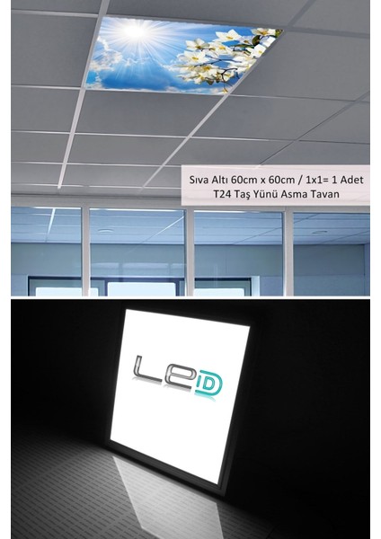 60 x 60 Taş Yünü Asma Tavan Ledi Armatür, 60WATT-54WATT- Asma Tavan Sıva Altı Panel modelleri