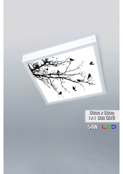 1 x 1-TEKLI-60 x 60-TAVANA Yapışık LED PANEL-54W-SIVA Üstü-Kolay Montaj-Kuşlu Dallar- LED
