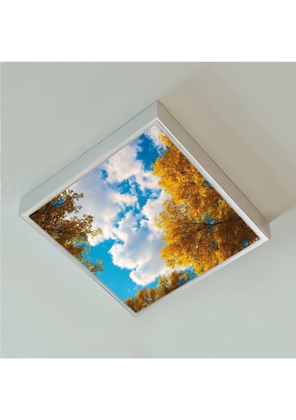 60WATT-60 x 60 -Led Salon Avize- Sonbahar Yeni Tasarım Aydınlatma- Tavana Yapışık-Kolay Montaj Avize modelleri