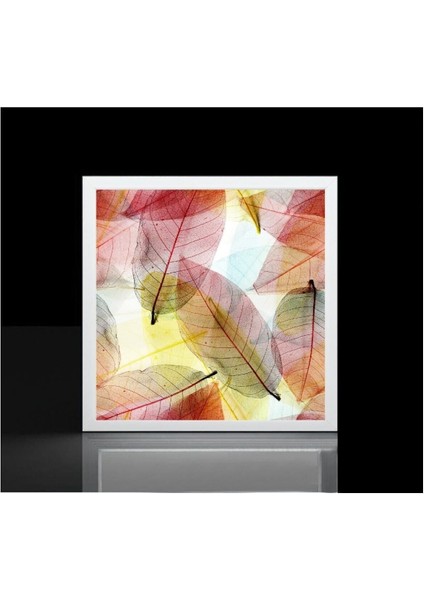 ( 60 cm x 60 cm ) Büyük Boy Avize, 60 Watt Güçlü LED Aydınlatma - Beyaz (6500 Kelvin) Doğal Işık modelleri