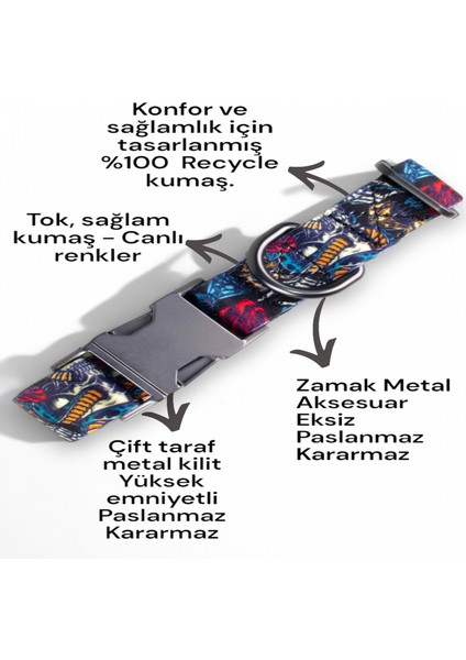 İsimli Köpek Tasması, Orta Ve Büyük Irk Köpek Tasması Köpek İsimlik, metal Kilitli Tasma 2,5 cm modelleri