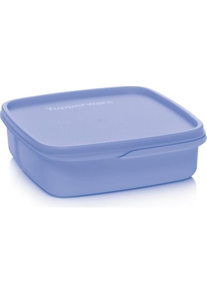 Bölmeli Yemek Taşıma Kabı Böğürtlen 550 ml
