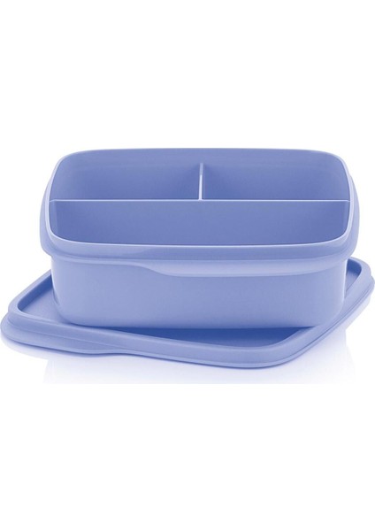 Bölmeli Yemek Taşıma Kabı Böğürtlen 550 ml