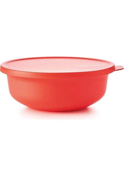 Aloha Meyve ve Sebze Saklama Kabı Rubin Pembe 1 Lt fiyatları