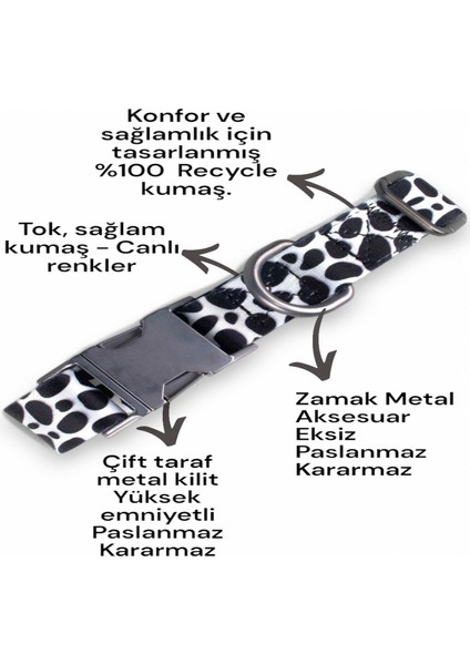 İsimli Köpek Tasması, Orta Ve Büyük Irk Köpek Tasması Köpek İsimlik, metal Kilitli Tasma 2,5 cm modelleri