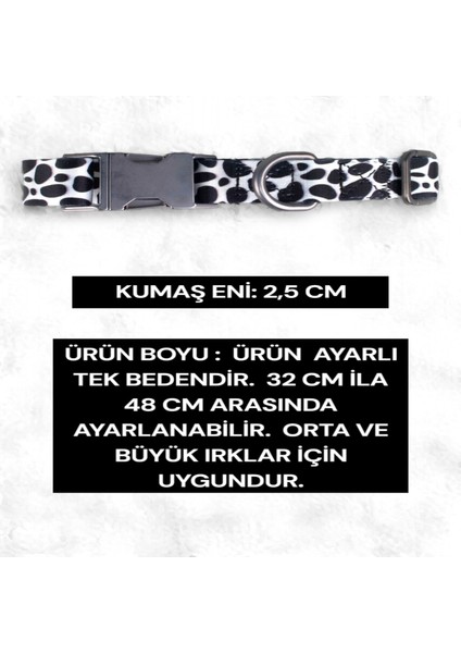 İsimli Köpek Tasması, Orta Ve Büyük Irk Köpek Tasması Köpek İsimlik, metal Kilitli Tasma 2,5 cm fırsatları