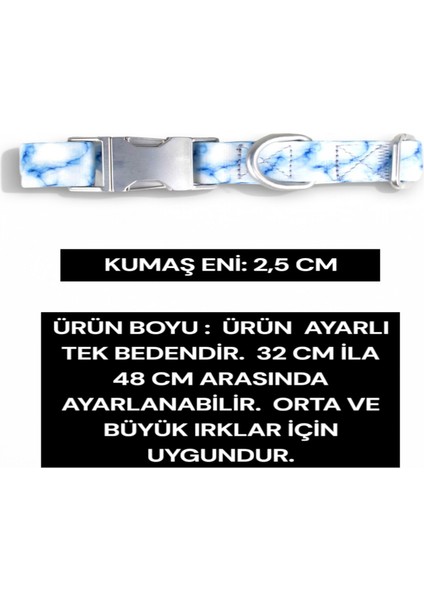 İsimli Köpek Tasması, Orta Ve Büyük Irk Köpek Tasması Köpek İsimlik, metal Kilitli Tasma 2,5 cm fiyatları