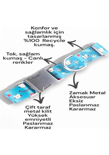 İsimli Köpek Tasması, Orta Ve Büyük Irk Köpek Tasması Köpek İsimlik, metal Kilitli Tasma 2,5 cm fiyatları