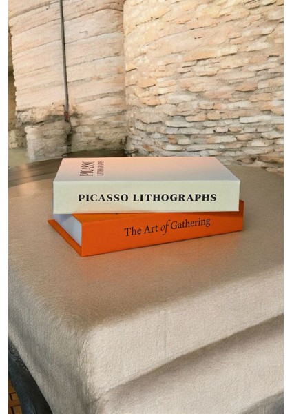 Pıcasso & The Art Of Gatherıng 2li Kumaş Kaplı Dekoratif Kutu Seti