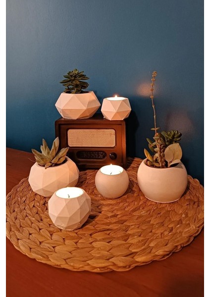6'lı Tealight Mumluk ve Saksı Seti Sukulent & Kaktüs Saksısı Gift Hediyelik