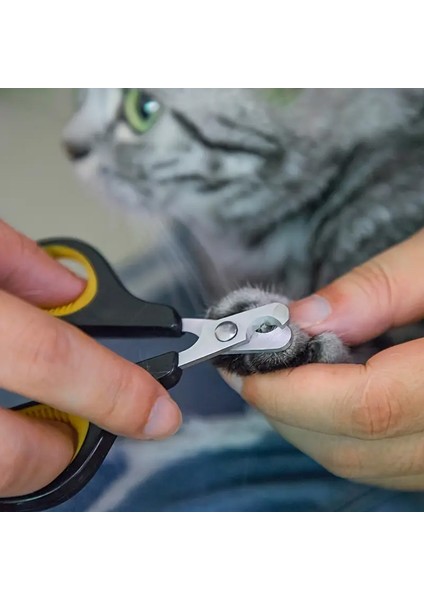 Kedi Köpek İçin Paslanmaz Çelik Uçlu Ergonomik Tırnak Makası fiyatları