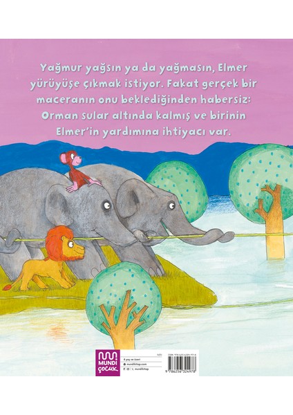 Elmer ve Sel - David McKee