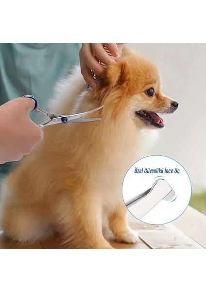 Kedi Köpek İçin Güvenli Uç Tasarımlı Paslanmaz Çelik Bakım Makası