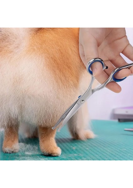 Kedi Köpek İçin Güvenli Uç Tasarımlı Paslanmaz Çelik Bakım Makası indirimleri