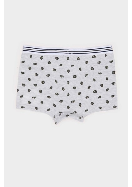 Erkek Çocuk Kaktüs Desenli 3'lü Boxer E6871A825SP