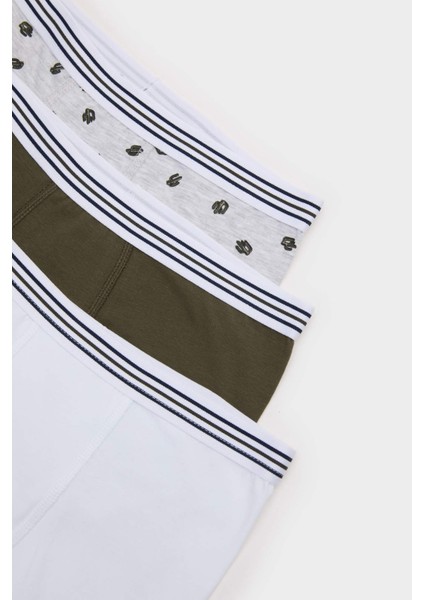Erkek Çocuk Kaktüs Desenli 3'lü Boxer E6871A825SP