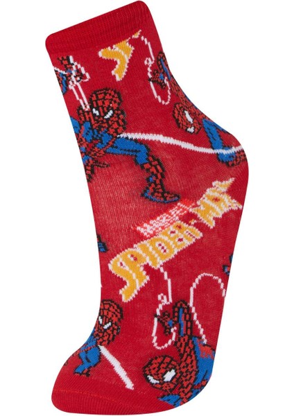 Erkek Çocuk Marvel Spiderman 3'lü Pamuklu Uzun Çorap E5169A8NS