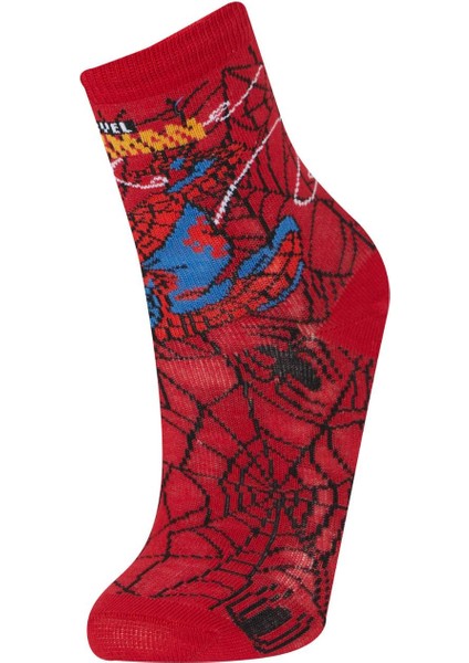 Erkek Çocuk Marvel Spiderman 3'lü Pamuklu Uzun Çorap E5169A8NS