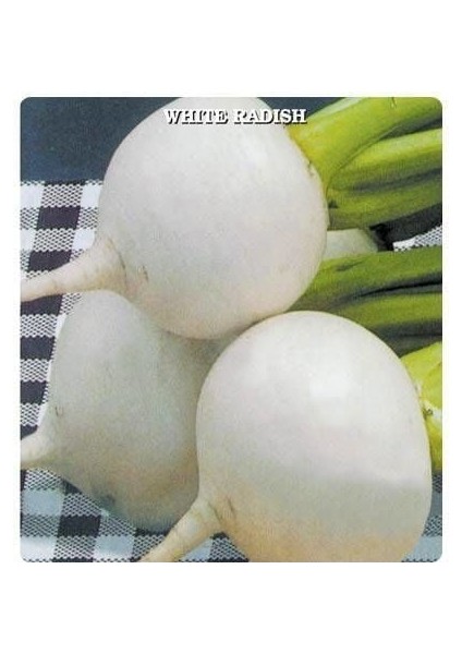 Doğal Geleneksel Anadolu Beyaz Turp Tohumu (50 Tohum)