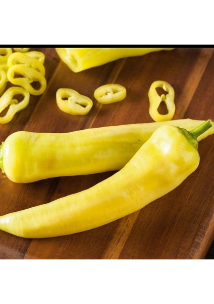 Nadir Doğal Geleneksel Yellow Hungarian Tatlı Biber Tohumu (10 Tohum)