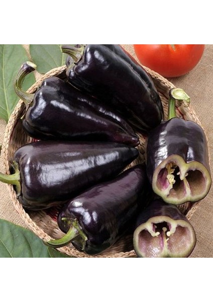 Doğal Geleneksel Black Knight Siyah Kapya Tatlı Biber Tohumu (15 Tohum)