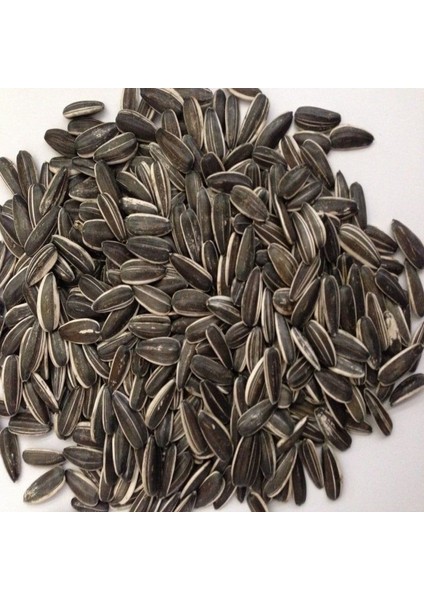 Doğal Siyah Çerezlik Çitlemelik Ayçiçeği Çekirdek Tohumu (1 Kg)